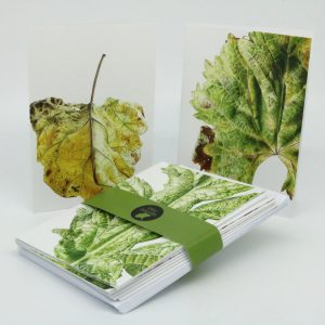 Botanical art greeting card set