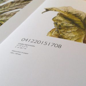 The limited edition hardback book of Leafscape featuring J R Shepherd's botanical watercolour paintings on leaves.