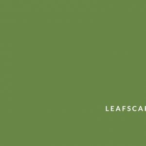 Leafscape Redux cover