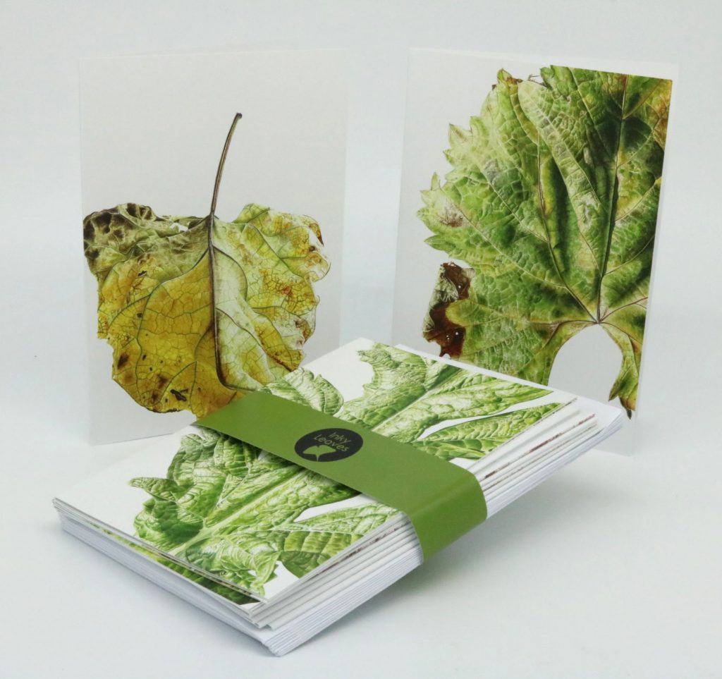 Botanical art greeting card set