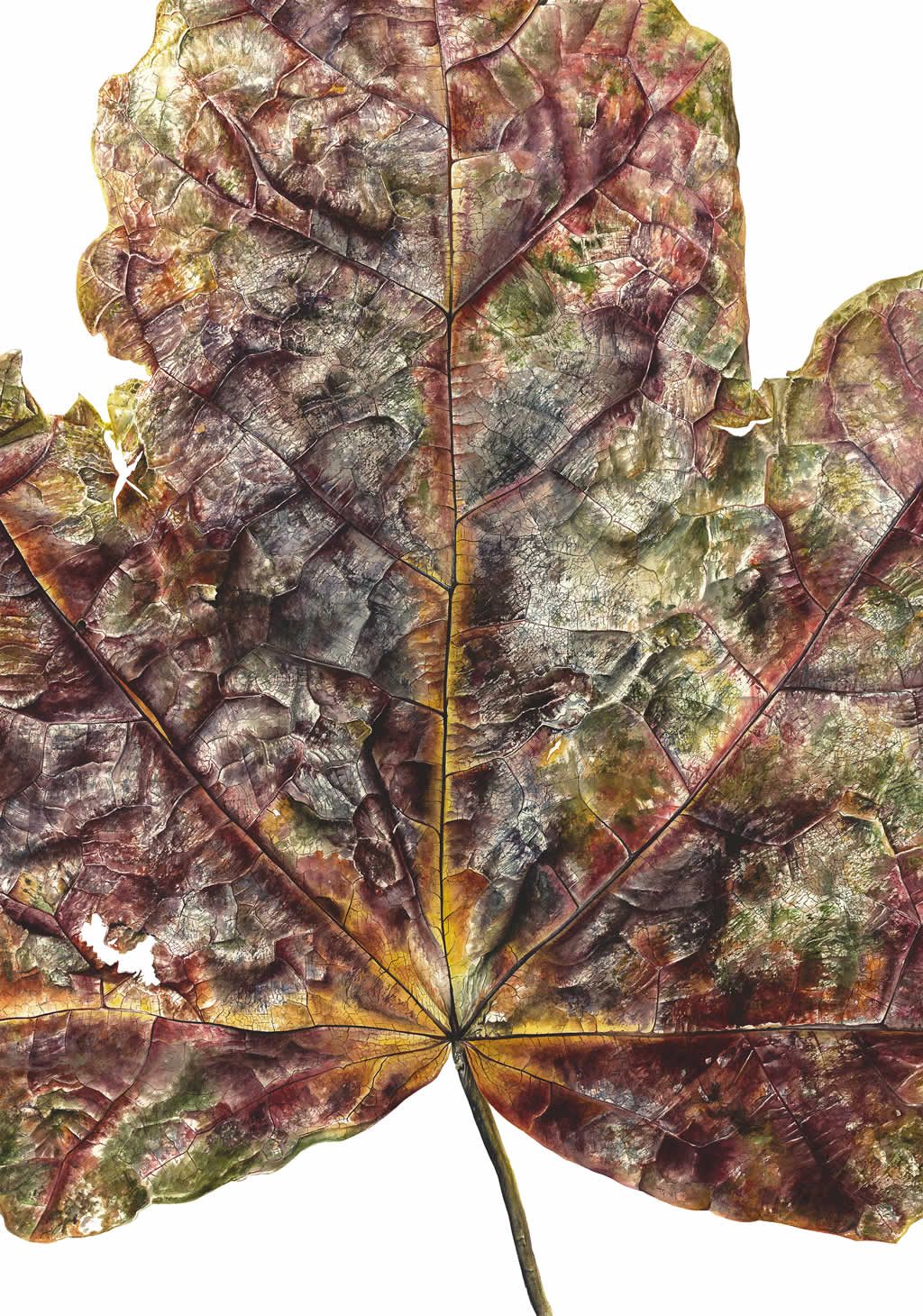 Leaf 140120160943