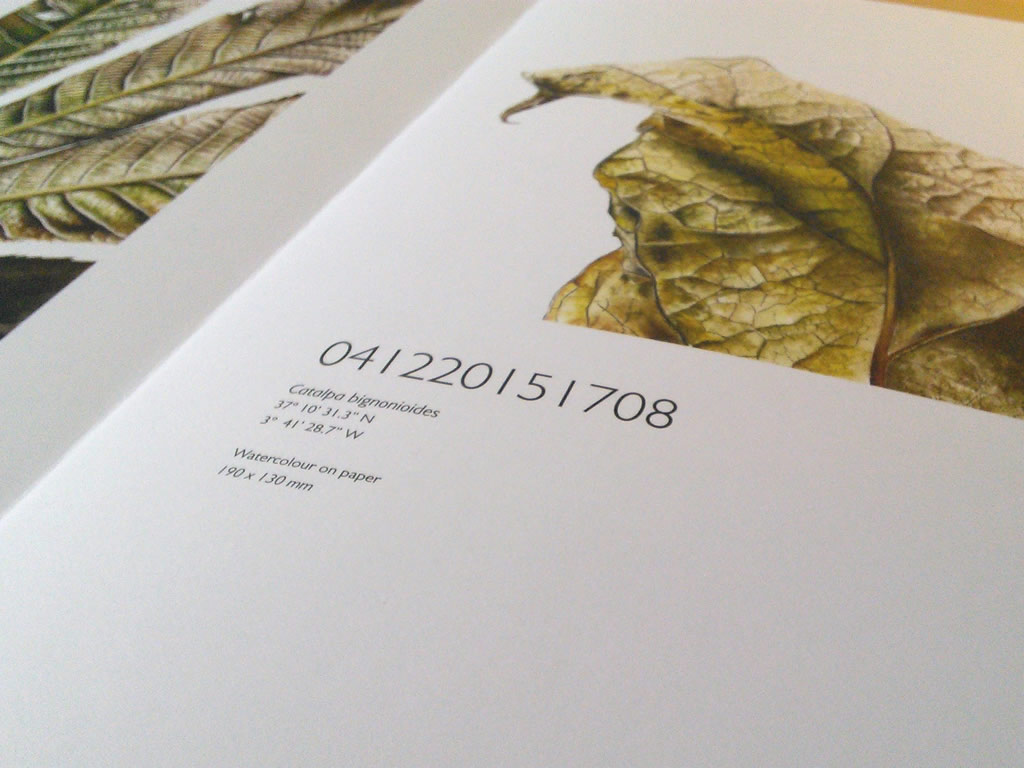 The limited edition hardback book of Leafscape featuring J R Shepherd's botanical watercolour paintings on leaves.