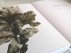 Leafscape Hardback