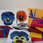 Pansy greetings card pack
